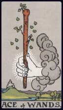 Ace of Wands - Rider-Waite-Smith
