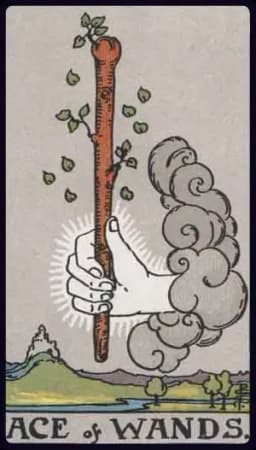 Ace of Wands - Rider-Waite-Smith tarot card