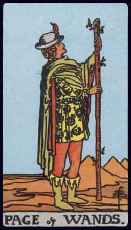 Page of Wands - Rider-Waite-Smith tarot card